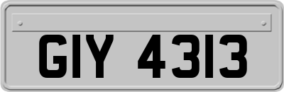 GIY4313