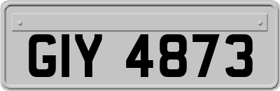GIY4873