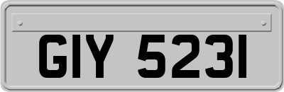 GIY5231