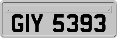 GIY5393