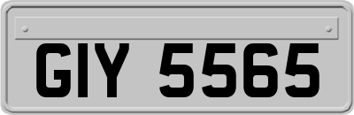 GIY5565