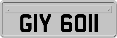 GIY6011