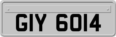 GIY6014