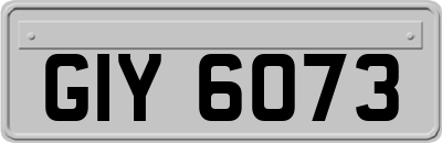 GIY6073