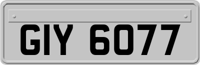GIY6077