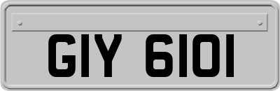 GIY6101