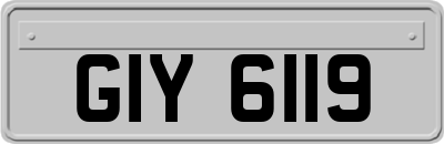 GIY6119