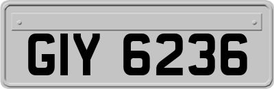 GIY6236