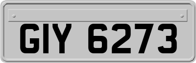 GIY6273