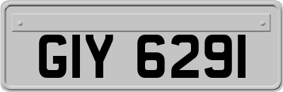 GIY6291