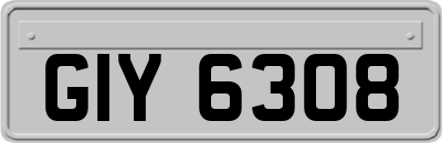 GIY6308