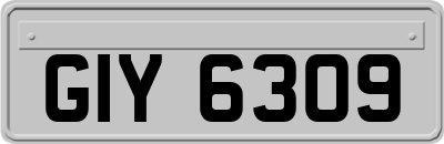 GIY6309