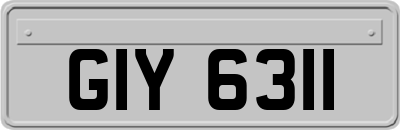 GIY6311