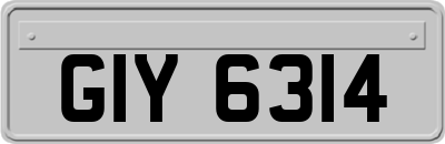 GIY6314