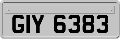 GIY6383