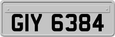GIY6384