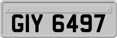 GIY6497