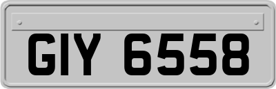 GIY6558