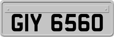 GIY6560