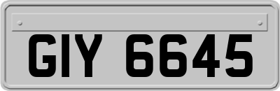 GIY6645