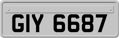 GIY6687