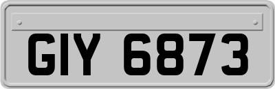 GIY6873