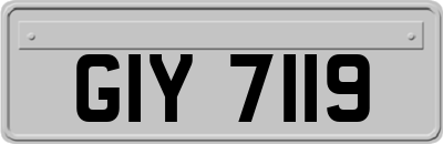 GIY7119