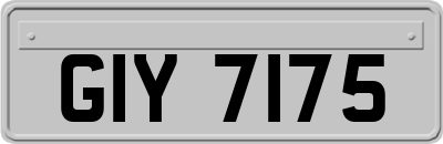 GIY7175