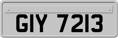 GIY7213