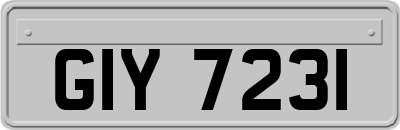 GIY7231