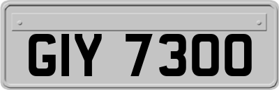 GIY7300