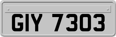 GIY7303