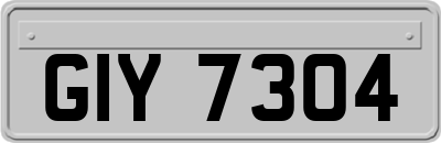 GIY7304