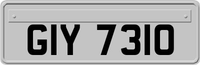 GIY7310