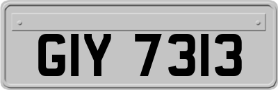 GIY7313