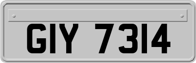 GIY7314