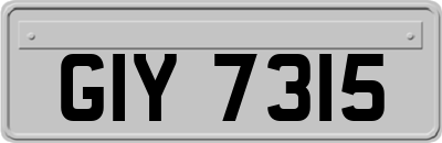 GIY7315