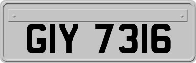 GIY7316