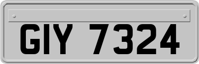 GIY7324