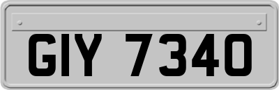 GIY7340