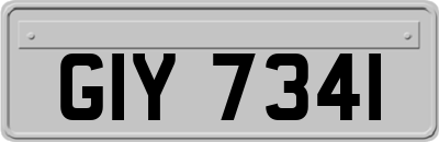 GIY7341