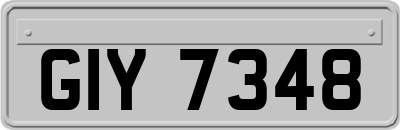 GIY7348