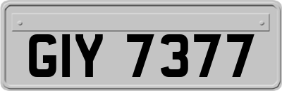 GIY7377