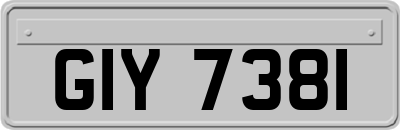 GIY7381