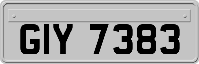 GIY7383