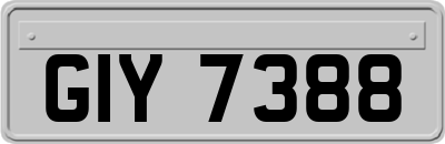 GIY7388