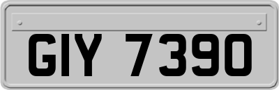 GIY7390
