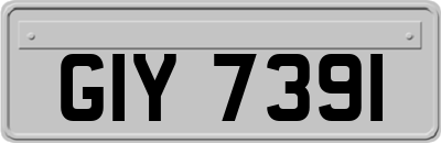 GIY7391