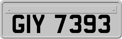 GIY7393