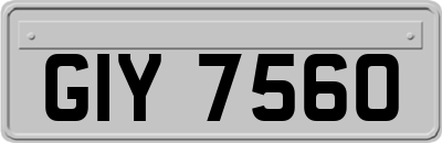GIY7560